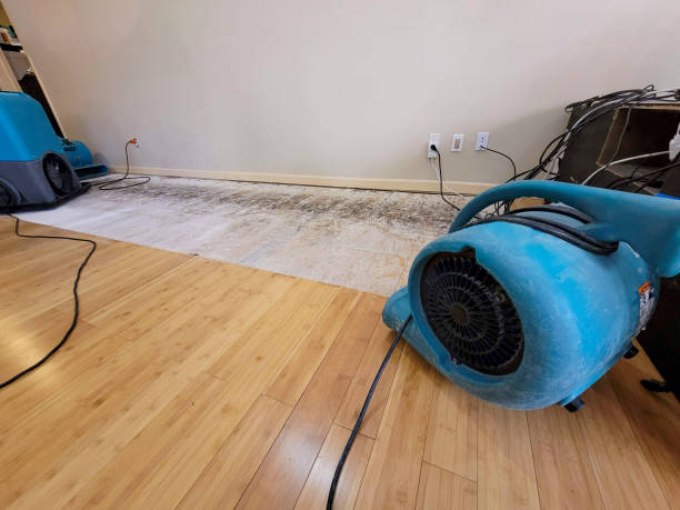 Professional Water Damage Repair technician working in Rainier, WA